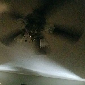 Meet your Posher, Stacy