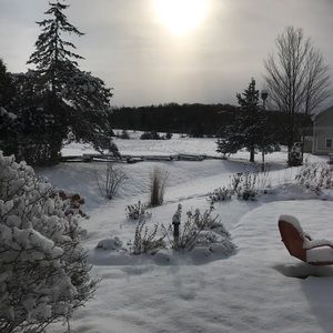 Meet your Posher, Ben