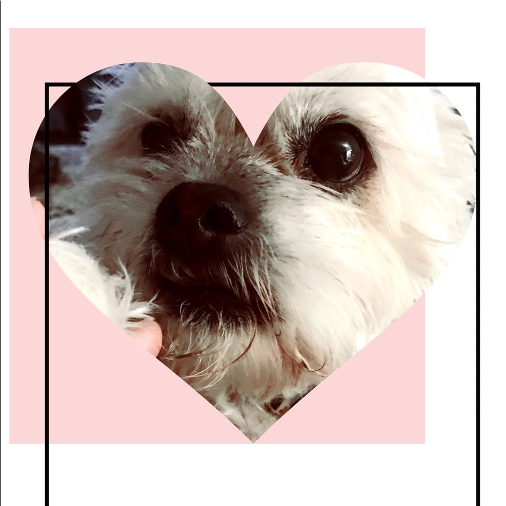 Meet your Posher, Jody