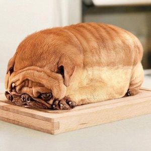 Meet your Posher, Nathan