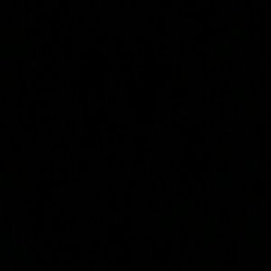 Meet your Posher, Eugene