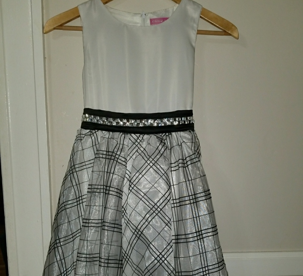 Sparkling & Shining Gorgeous Dress