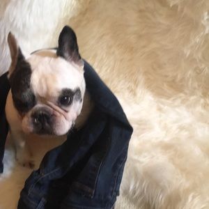 Free People Skinnies