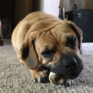 Meet your Posher, Nick