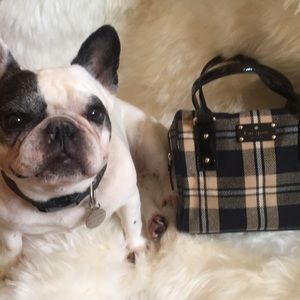 Kate Spade bag