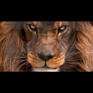 Meet your Posher, Nico