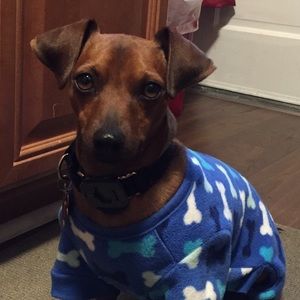 Meet your Posher, Teri