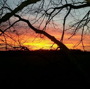 Meet your Posher, Todd