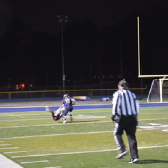 Meet your Posher, Joey - Picture 1 of 1