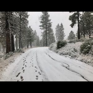 Meet your Posher, Kendall