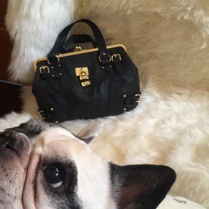 Steve Madden Bag