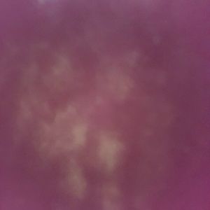 Meet your Posher, Tevin