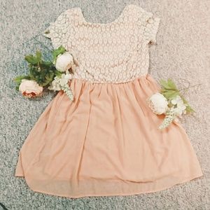 Lace and Chiffon Pink and White Skater Dress