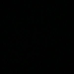 Meet your Posher, Jessie