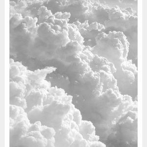 Meet your Posher, Trisha