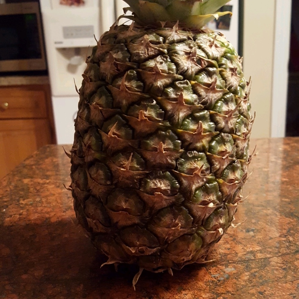 Meet your Posher, Gray