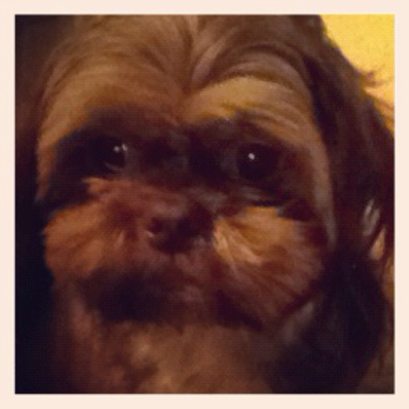 roobear