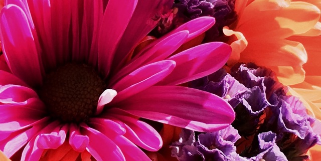 Poshmark banner for @juliette