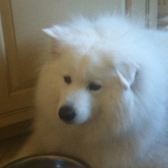 koko