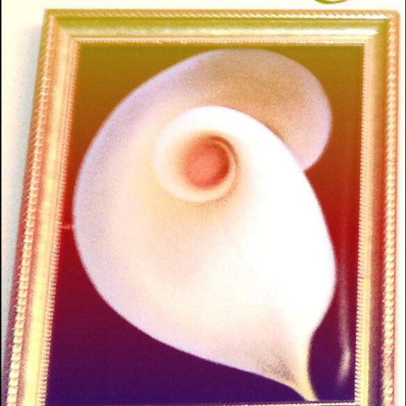 Poshmark profile picture for @tiki