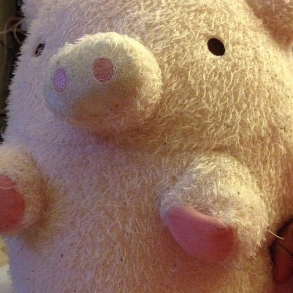 Poshmark profile picture for @piggy