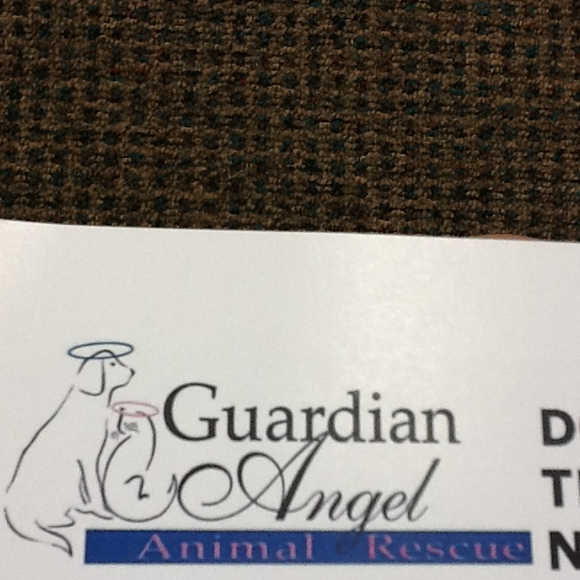 guardian_angel