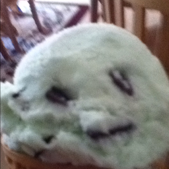 Poshmark profile picture for @connor