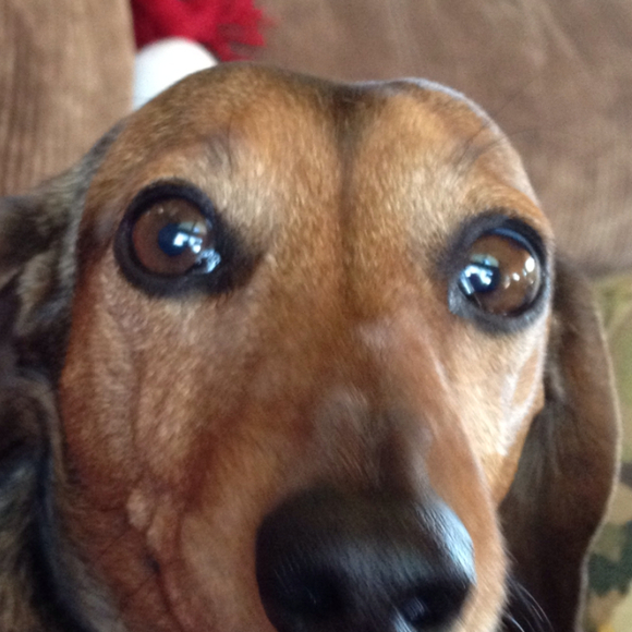 Poshmark profile picture for @kilo