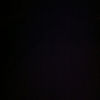 shawna209208