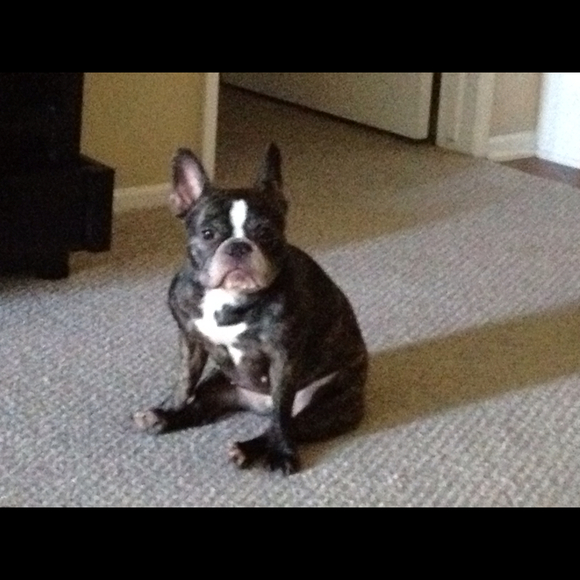 nuley