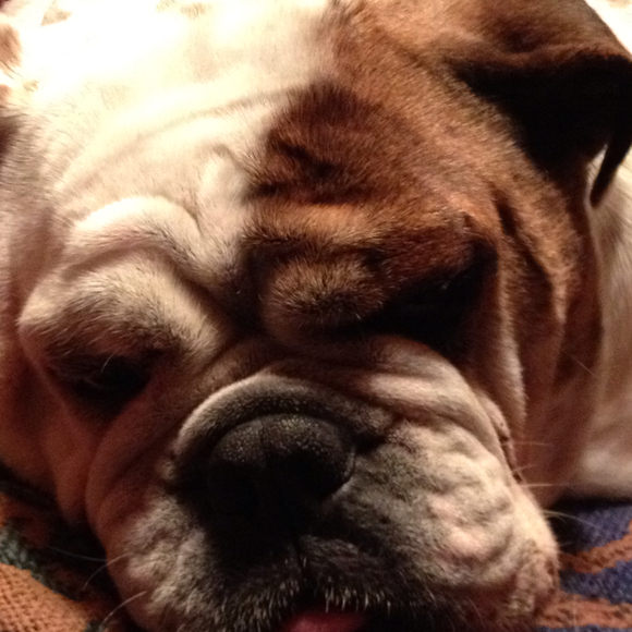 Poshmark profile picture for @mooch