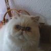 cathie1