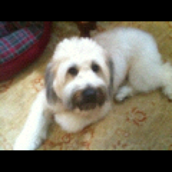suep