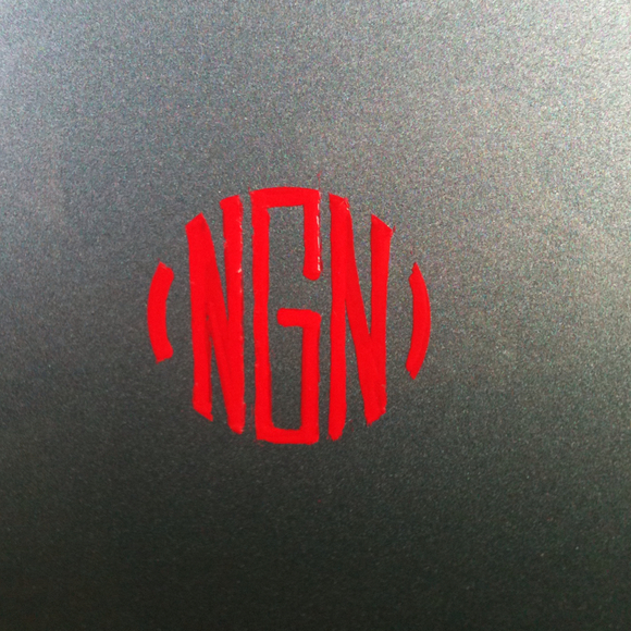 ngaudiosi