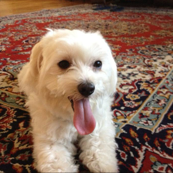 charlie0423