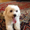 charlie0423
