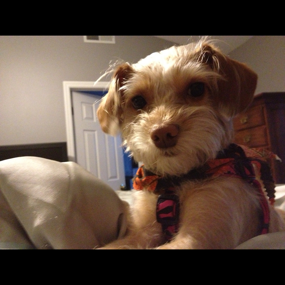 cbear2118