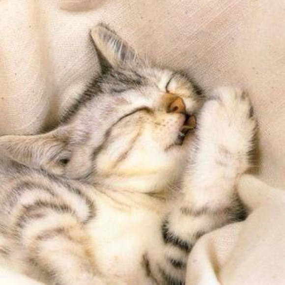 Poshmark profile picture for @cuteness