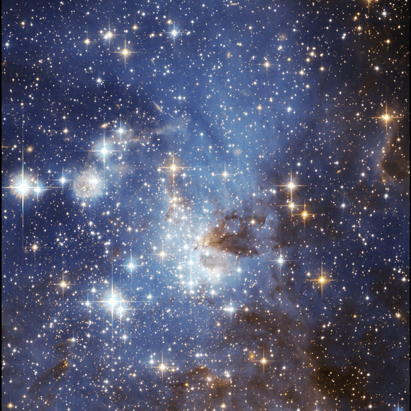 rachelsonbolian