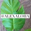 alexaloha