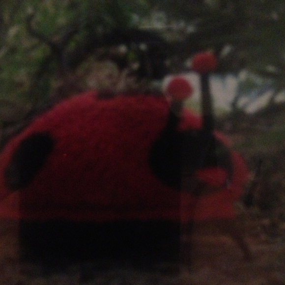 ladybuggirl2013