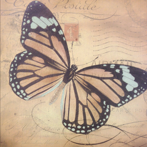 Poshmark profile picture for @mariposa12