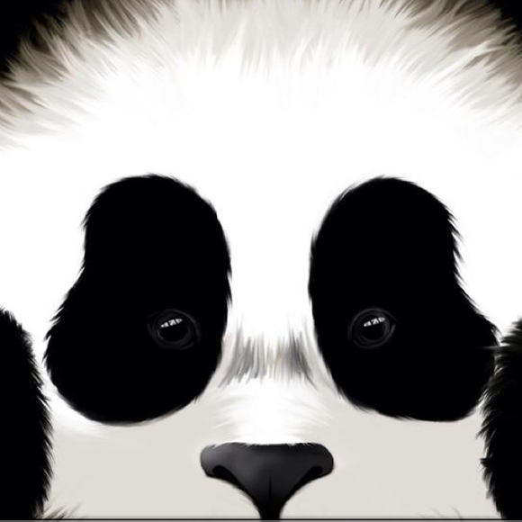 Poshmark profile picture for @haze