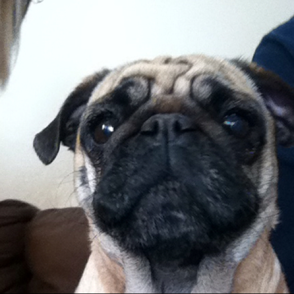 Poshmark profile picture for @underdog
