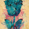 lovelyrose