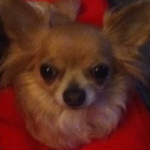 lolaandtater
