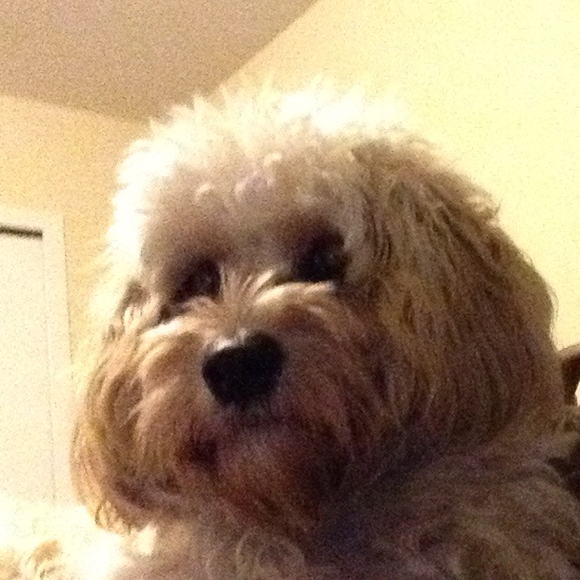 Poshmark profile picture for @today