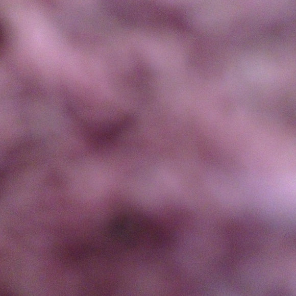jjjjllll22229