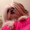 maxiboo1