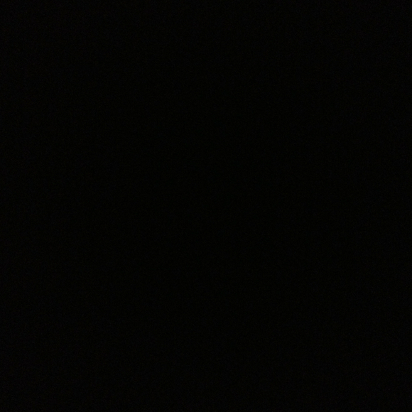 mcanallydvm